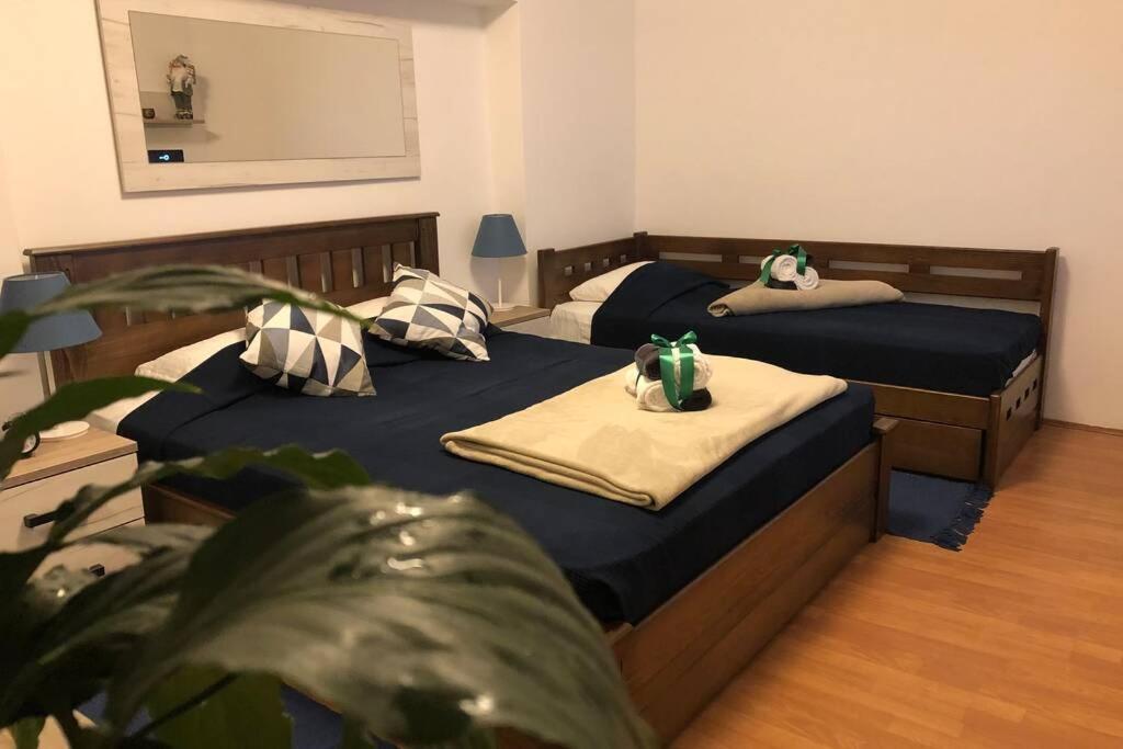 Apartments Balkanska City Center 贝尔格莱德 外观 照片
